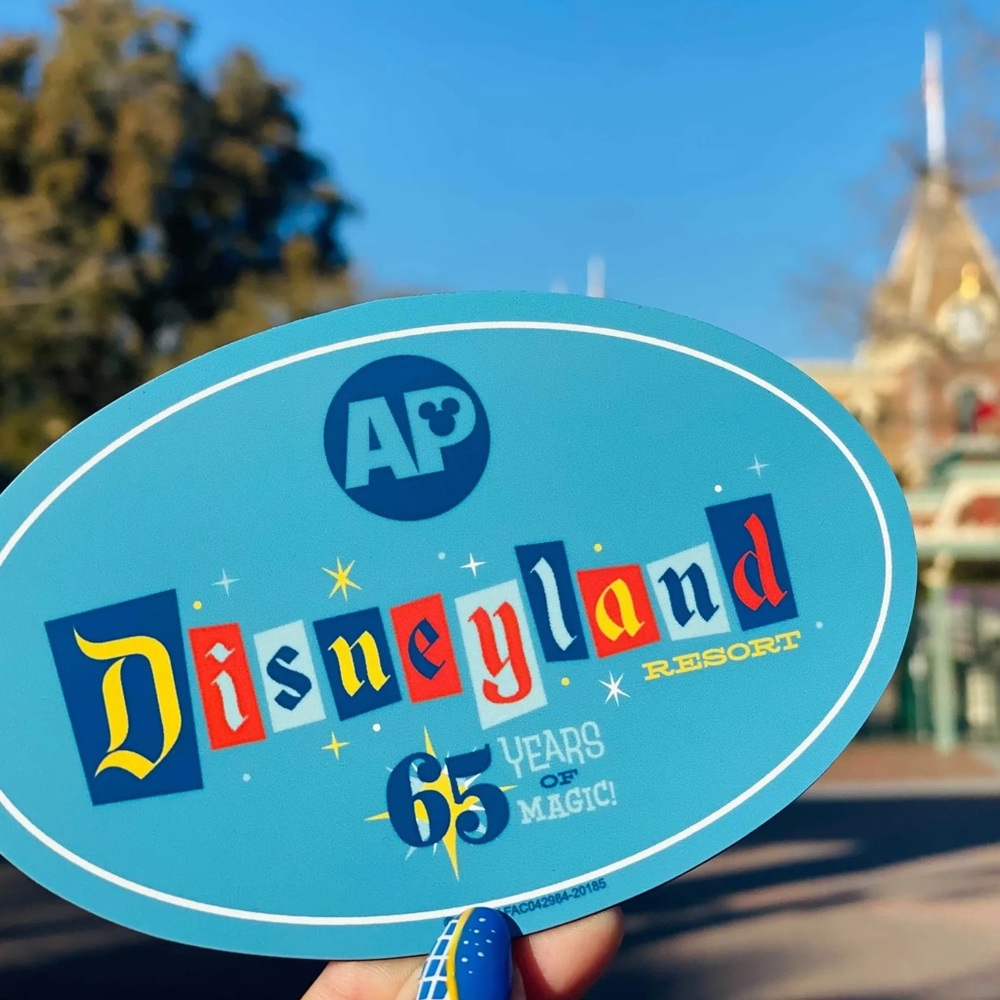Disney Pass-holder Magnets